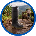 botas pantaneras blog